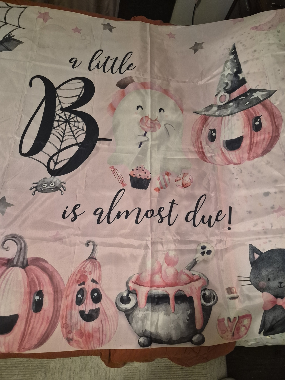 Pink Baby Shower Announcement Banner - Halloween Boo
